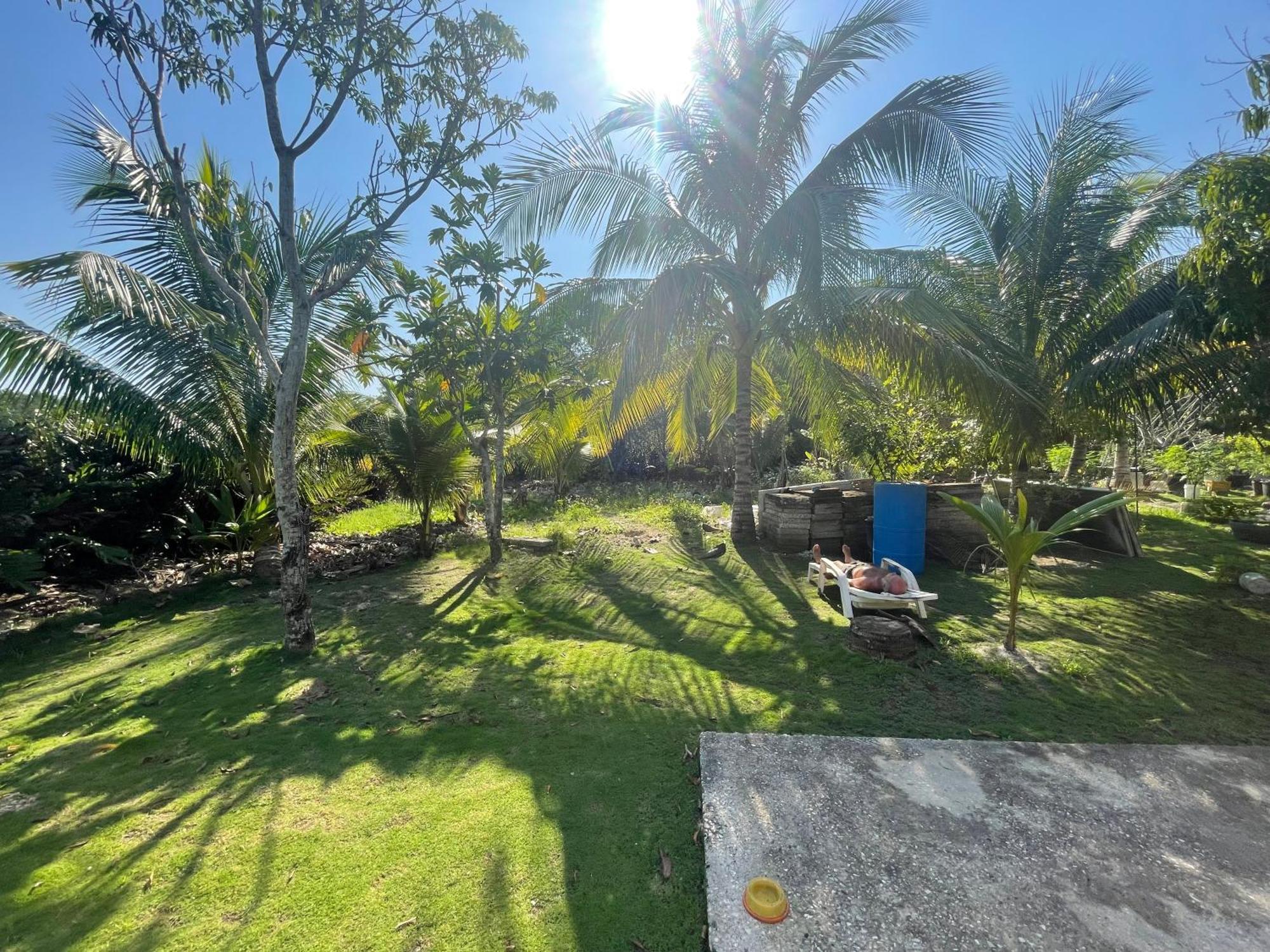 R&V Villa Negril Eksteriør billede