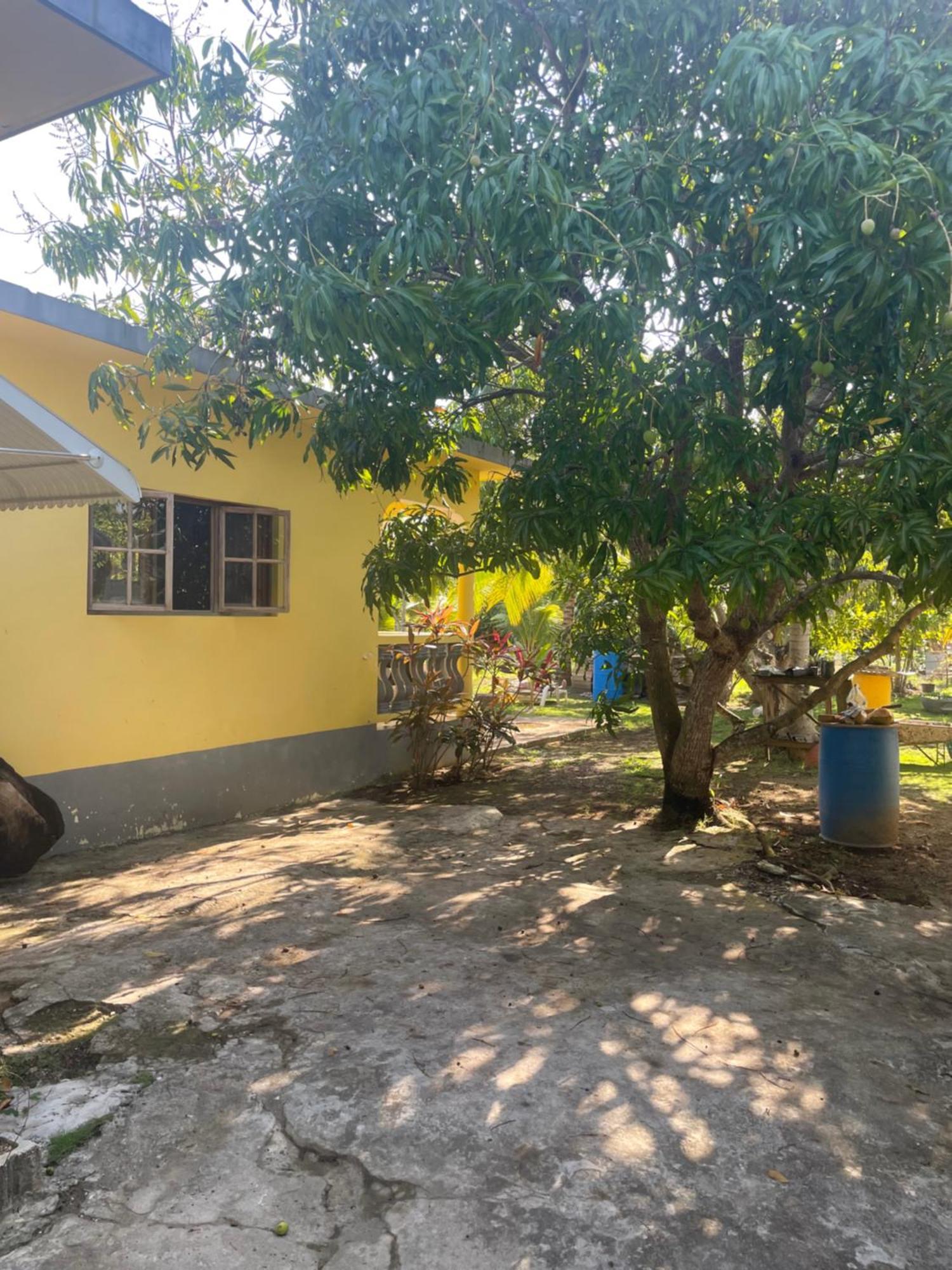 R&V Villa Negril Eksteriør billede